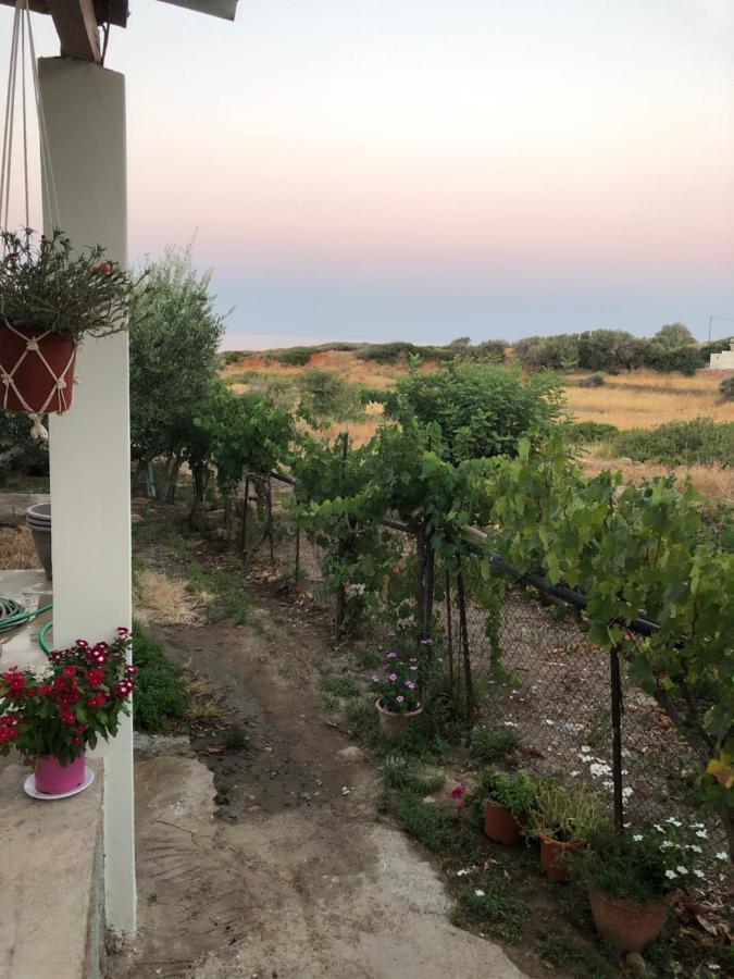Ambelakia Bungalow Μονεμβασιά Εξωτερικό φωτογραφία