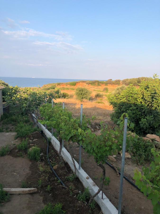Ambelakia Bungalow Μονεμβασιά Εξωτερικό φωτογραφία